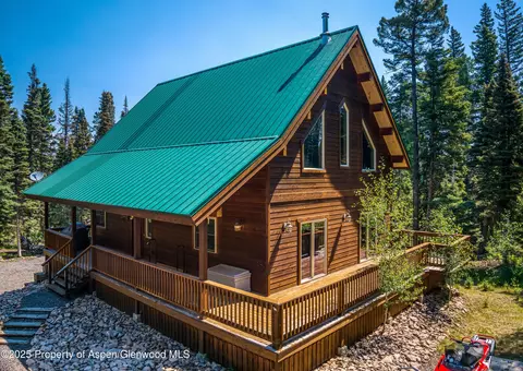608 Snowshoe Lane Cimarron Co 81220 Ln, Cimarron, CO 81220 photo 33