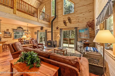 608 Snowshoe Lane Cimarron Co 81220 Ln, Cimarron, CO 81220 photo 3