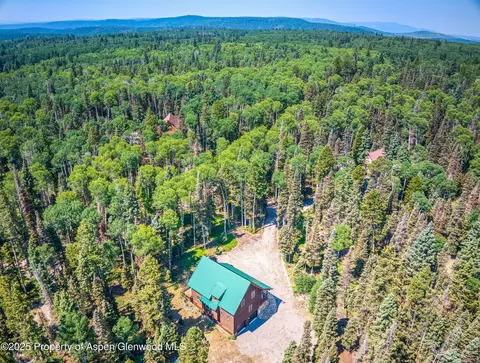 608 Snowshoe Lane Cimarron Co 81220 Ln, Cimarron, CO 81220 photo 45