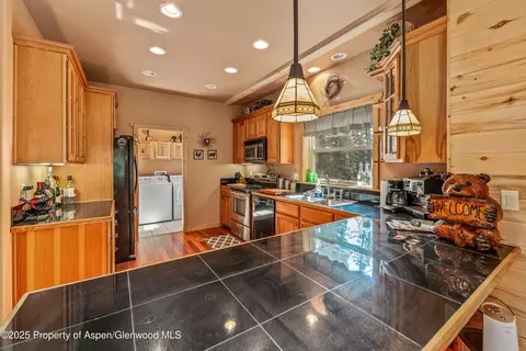 608 Snowshoe Lane Cimarron Co 81220 Ln, Cimarron, CO 81220 photo 7