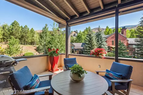 102 Wild Spring Lane Basalt Co 81621 Ln, Basalt, CO 81621 photo 15