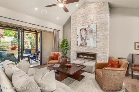 102 Wild Spring Lane Basalt Co 81621 Ln, Basalt, CO 81621 photo 6