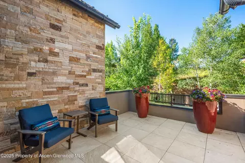 102 Wild Spring Lane Basalt Co 81621 Ln, Basalt, CO 81621 photo 19