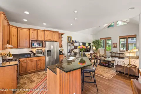 315 Summerset Lane A Basalt Co 81621 Ln #A, Basalt, CO 81621 photo 4