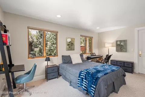 315 Summerset Lane A Basalt Co 81621 Ln #A, Basalt, CO 81621 photo 14