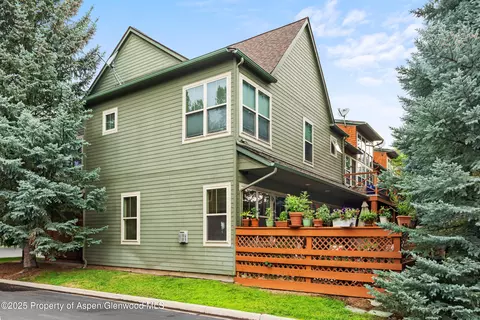 541 Evans Court Basalt Co 81621 Ct, Basalt, CO 81621