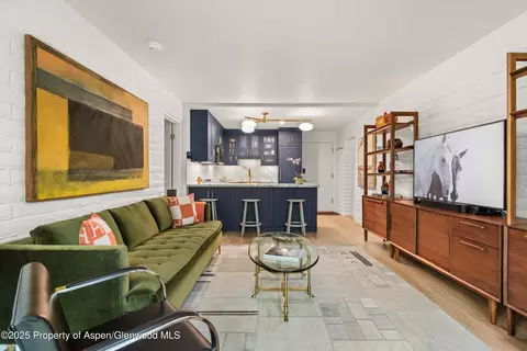 332 Vine Street Aspen Co 81611 St, Aspen, CO 81611