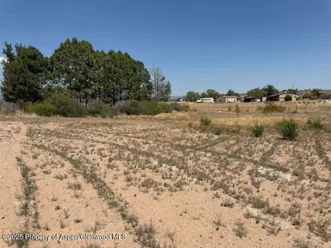 21045 Nowhere Road Eckert Co 81418 Rd, Eckert, CO 81418 photo 29