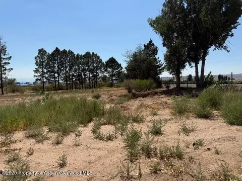 21045 Nowhere Road Eckert Co 81418 Rd, Eckert, CO 81418 photo 12