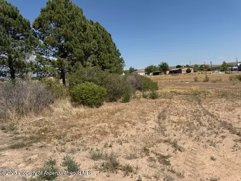21045 Nowhere Road Eckert Co 81418 Rd, Eckert, CO 81418 photo 36