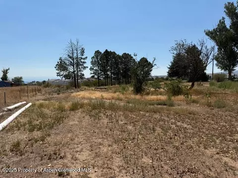 21045 Nowhere Road Eckert Co 81418 Rd, Eckert, CO 81418 photo 25