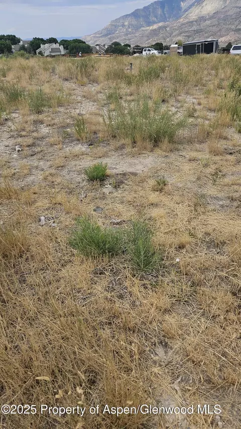 310 Eagle Ridge Drive Parachute Co 81635 Dr, Parachute, CO 81635 photo 3