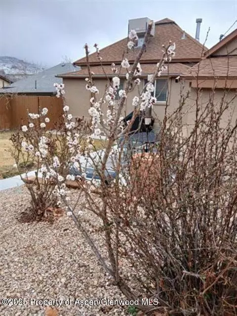 172 E 4th Street Palisade Co 81526 St, Palisade, CO 81526 photo 32