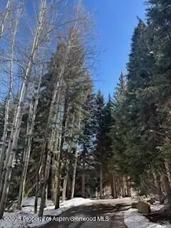 400 410 Lake Avenue Aspen Co 81611 Ave, Aspen, CO 81611