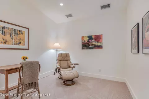 104 Midland Avenue 302 Basalt Co 81621 Ave #302, Basalt, CO 81621 photo 27