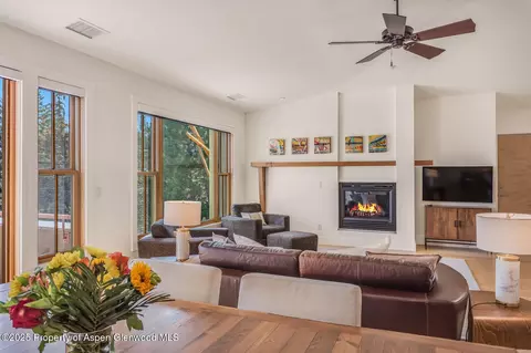 104 Midland Avenue 302 Basalt Co 81621 Ave #302, Basalt, CO 81621 photo 16