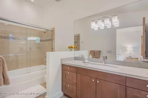 104 Midland Avenue 302 Basalt Co 81621 Ave #302, Basalt, CO 81621 photo 24