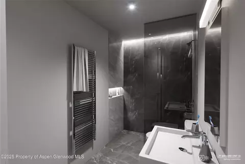 Bath - 175 Midland Avenue Apt 10 Basalt Co 81621 Ave # 10, Basalt, CO 81621 photo 3 of 3