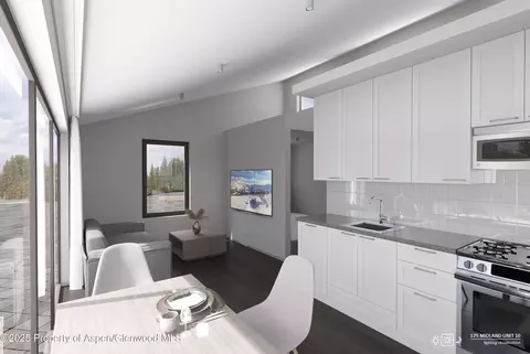 Entry Way - 175 Midland Avenue Apt 10 Basalt Co 81621 Ave # 10, Basalt, CO 81621 photo 3 of 4