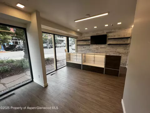 Other - 175 Midland Avenue Apt 10 Basalt Co 81621 Ave # 10, Basalt, CO 81621 photo 6 of 8