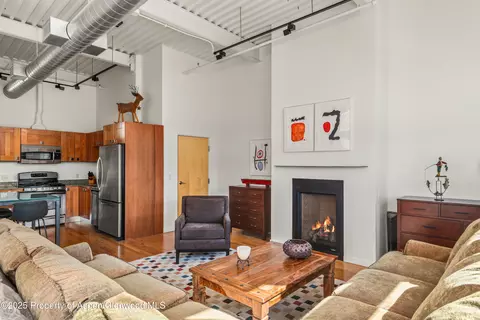 Living - 231 Robinson Street Apt R-340 Basalt Co 81621 St # R-340, Basalt, CO 81621 photo 3 of 3