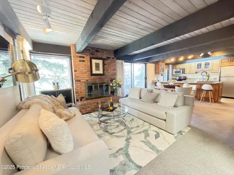 1034 E Cooper Avenue 19 Aspen Co 81611 Ave #19, Aspen, CO 81611