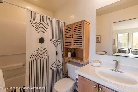 104 Lakeside Court Basalt Co 81621 Ct, Basalt, CO 81621 photo 19
