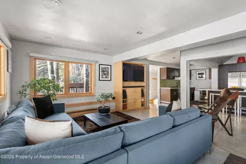 1038 Owl Creek Road Aspen Co 81611 Rd, Aspen, CO 81611