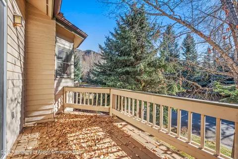 1508 Mockingbird Lane Basalt Co 81621 Ln, Basalt, CO 81621 photo 15