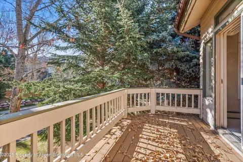 1508 Mockingbird Lane Basalt Co 81621 Ln, Basalt, CO 81621 photo 16