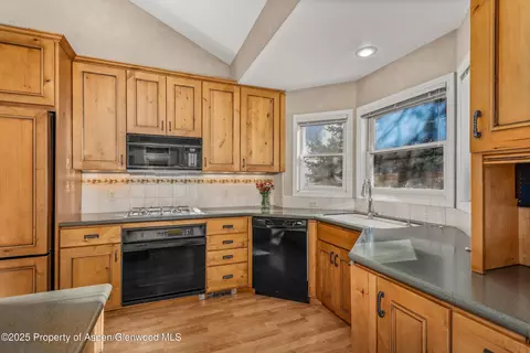 1508 Mockingbird Lane Basalt Co 81621 Ln, Basalt, CO 81621 photo 13