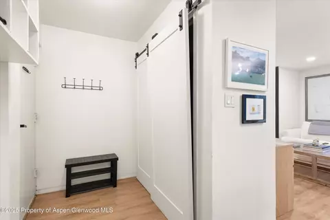 425 Park Circle A2 Aspen Co 81611 #A2, Aspen, CO 81611 photo 4