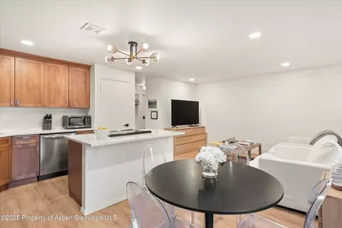 425 Park Circle A2 Aspen Co 81611 #A2, Aspen, CO 81611