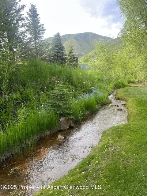 425 Park Circle A2 Aspen Co 81611 #A2, Aspen, CO 81611 photo 6