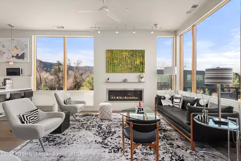 103 Willits Way 204 Basalt Co 81621 Way #204, Basalt, CO 81621