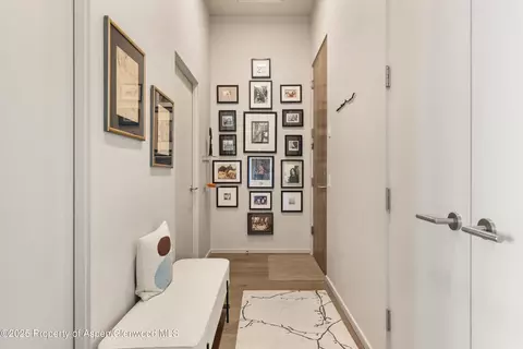 Entry Way - 103 Willits Way 204 Basalt Co 81621 Way #204, Basalt, CO 81621 photo 1 of 1