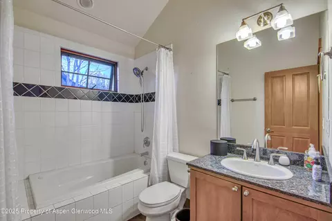 432 Meadow Court Basalt Co 81621 Ct, Basalt, CO 81621 photo 21