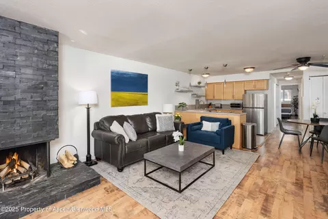 210 E Cooper Avenue 1c Aspen Co 81611 Ave #1C, Aspen, CO 81611
