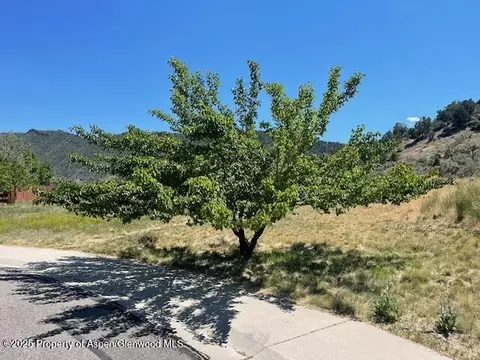 59 Mount Yale Court New Castle Co 81647 Ct, New Castle, CO 81647