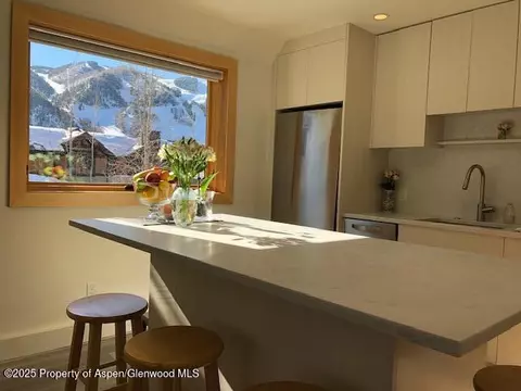 1136 Vine Street 1136 Aspen Co 81611 St #1136, Aspen, CO 81611
