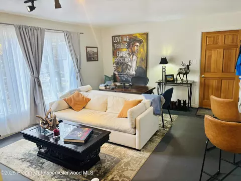 107 Aspen Mountain Rd 4 Aspen Co 81611 #4, Aspen, CO 81611