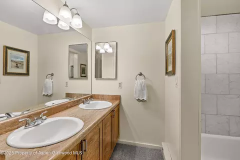 100 Midland Avenue 108 Basalt Co 81621 Ave #108, Basalt, CO 81621 photo 8
