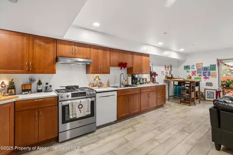 100 Midland Avenue 108 Basalt Co 81621 Ave #108, Basalt, CO 81621 photo 3