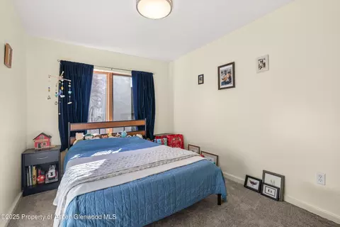 100 Midland Avenue 108 Basalt Co 81621 Ave #108, Basalt, CO 81621 photo 9