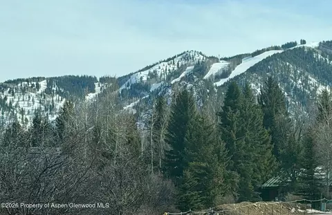 1050 Cemetery Lane Aspen Co 81611 Ln, Aspen, CO 81611