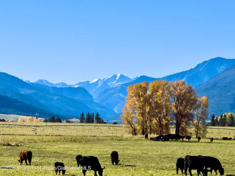 977 County Road 101 Carbondale Co 81623, Carbondale, CO 81623