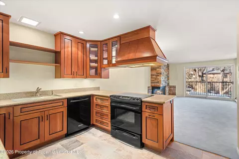205 E Durant Avenue 1-f Aspen Co 81611 Ave #1-F, Aspen, CO 81611
