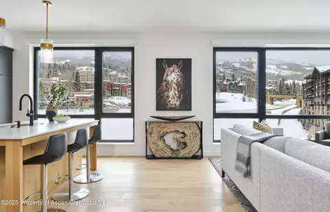 119 Wood Road 401 Snowmass Village Co 81615 Rd #401, Snowmass Village, CO 81615