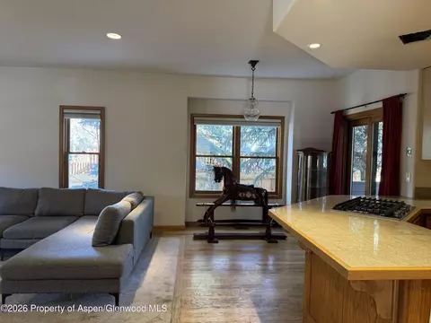 Living - 740 Hearthstone Drive Basalt Co 81621 Dr, Basalt, CO 81621 photo 2 of 3