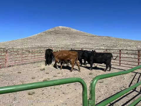 tbd Costilla County Parcel Apt 400022 Blanca Co 81123, Blanca, CO 81123
